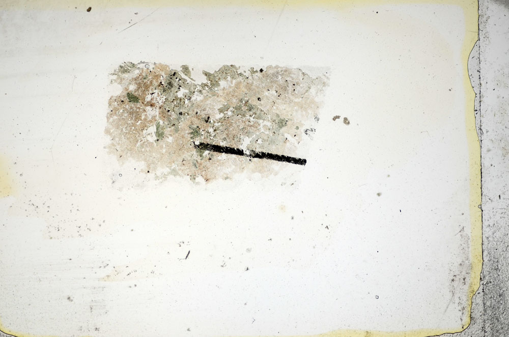 Plane Polarized, S85722