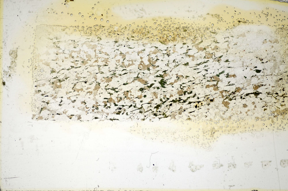 Plane Polarized, S85725