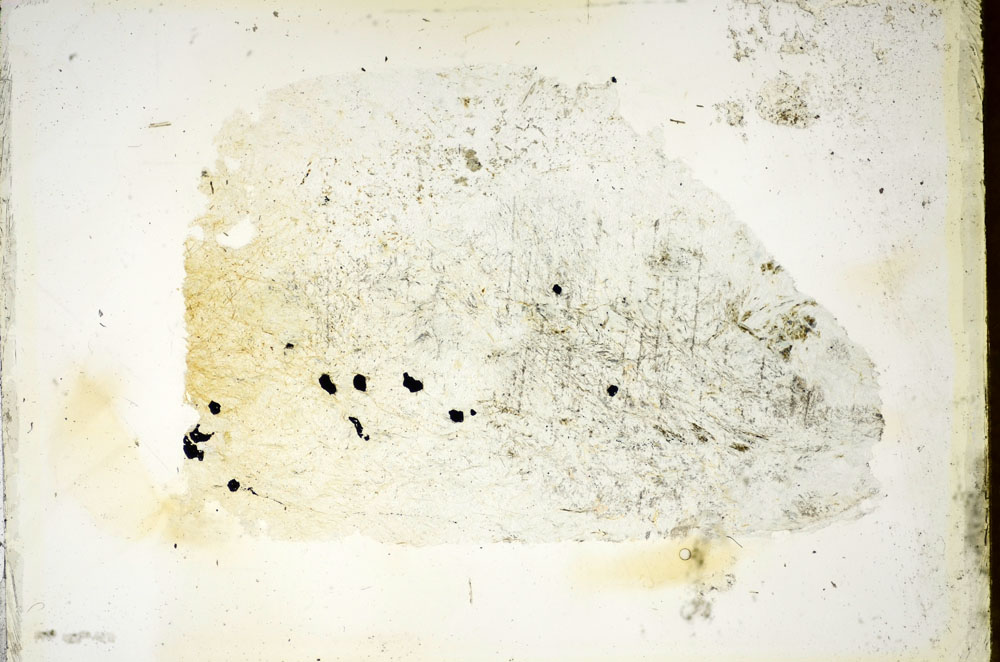 Plane Polarized, S85732