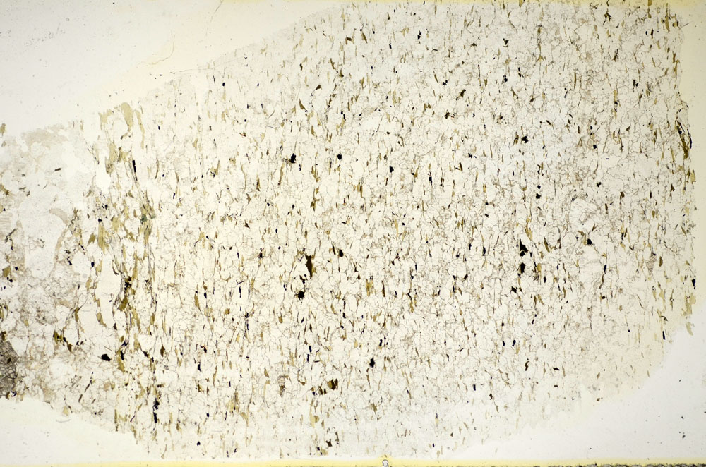 Plane Polarized, S85740