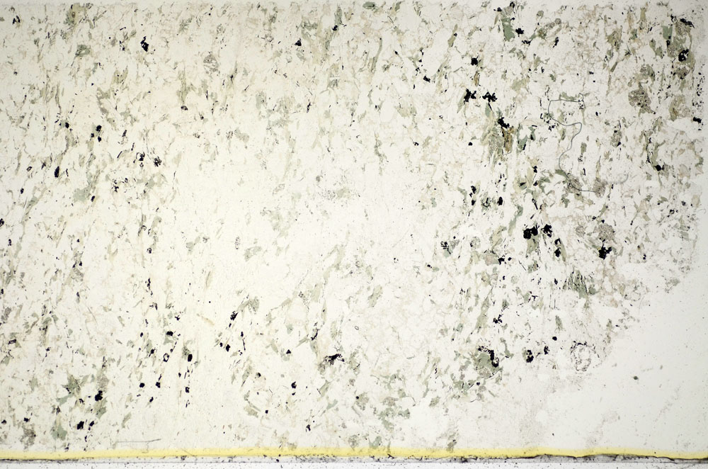 Plane Polarized, S85743