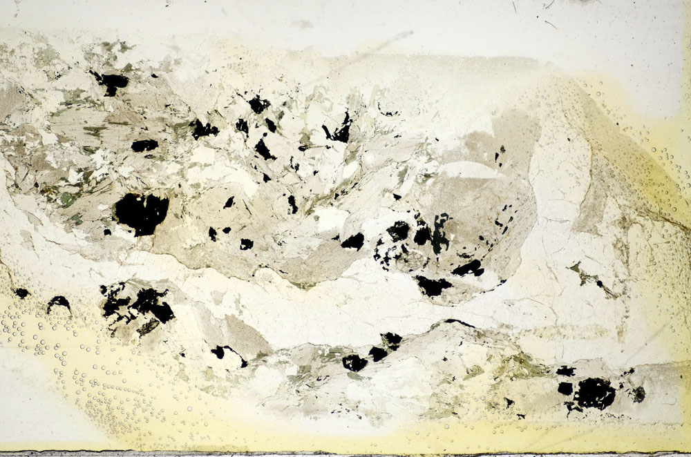 Plane Polarized, S85746
