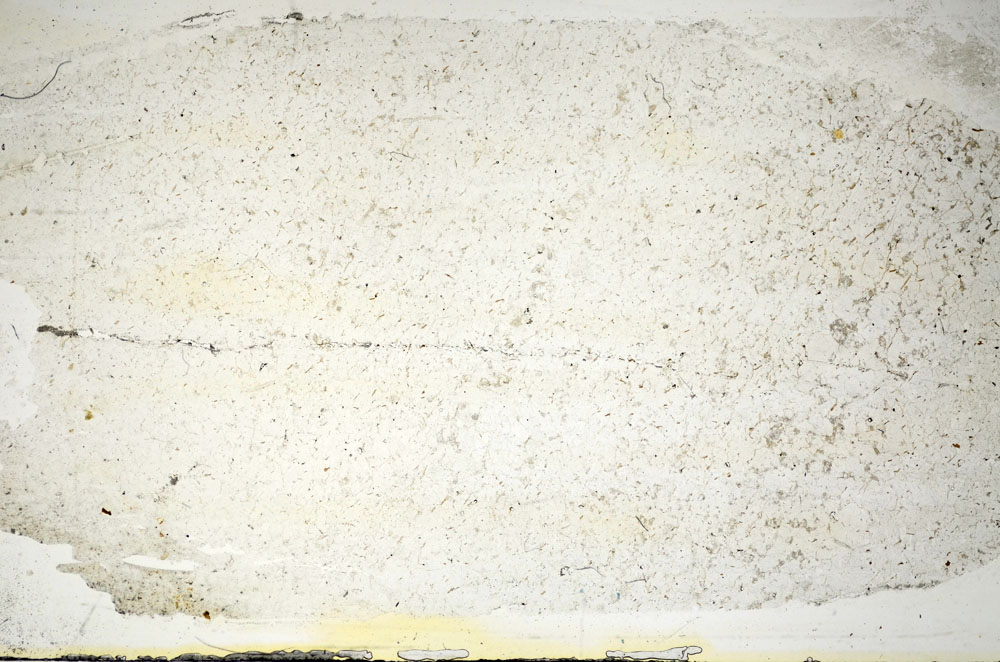 Plane Polarized, S85752