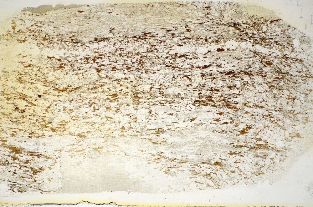 Plane Polarized, S85753