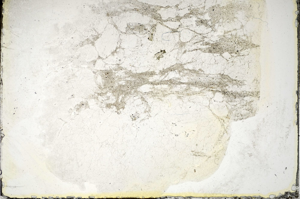Plane Polarized, S85754