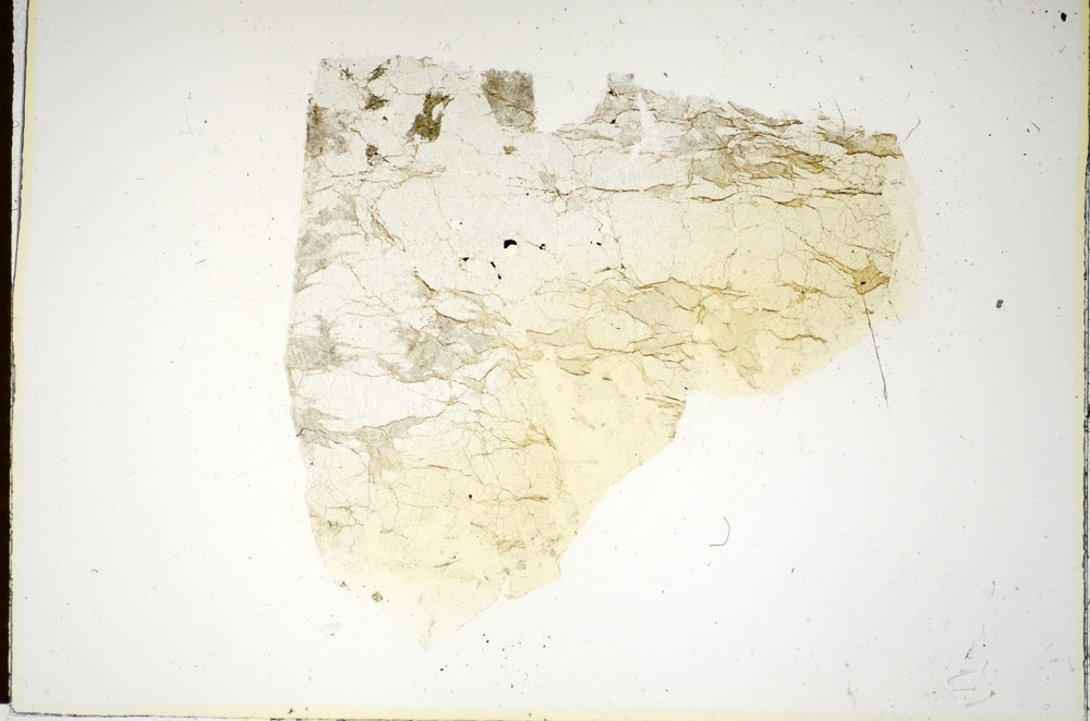 Plane Polarized, S85761