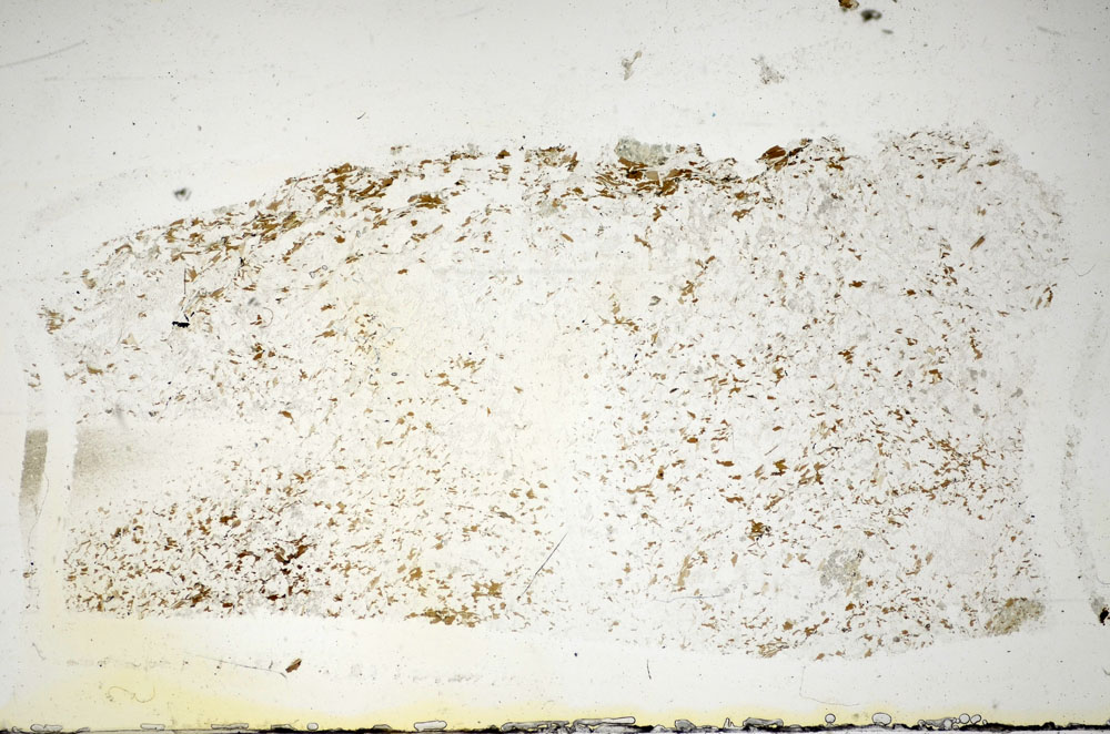 Plane Polarized, S85763