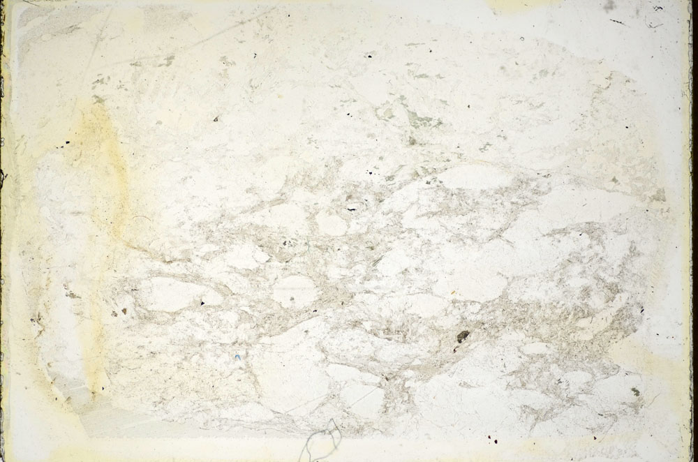 Plane Polarized, S85769
