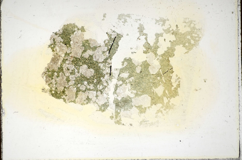 Plane Polarized, S85780