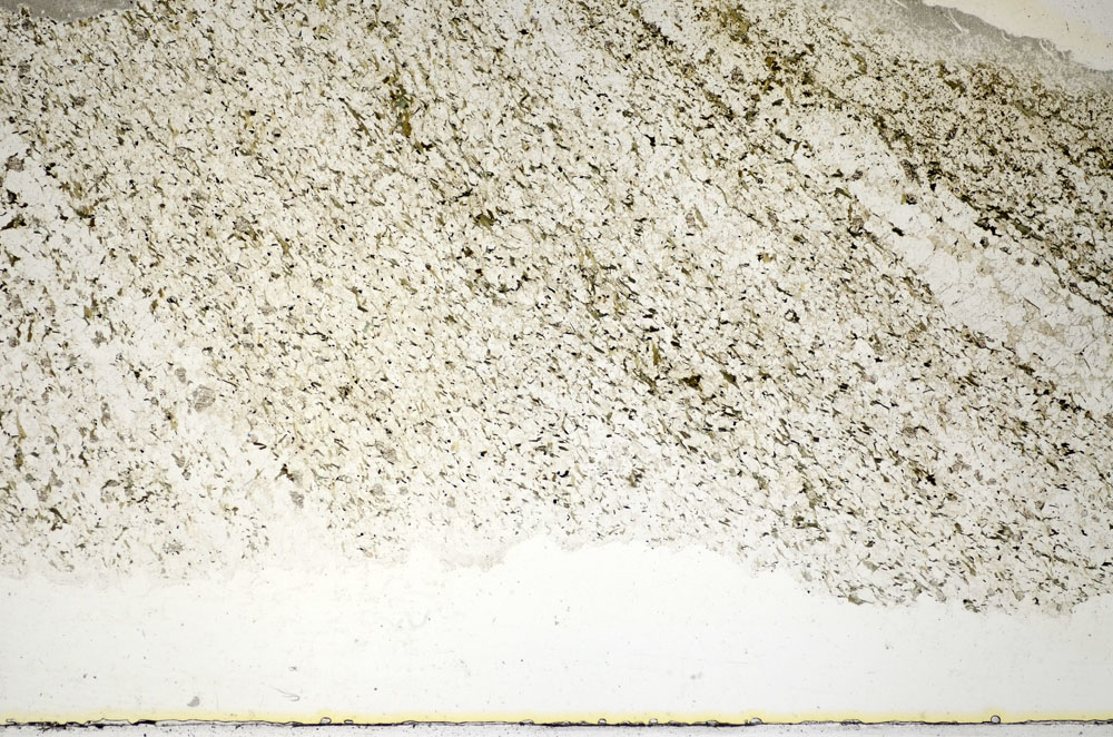 Plane Polarized, S85783