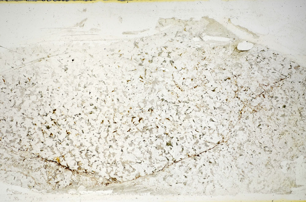 Plane Polarized, S85796