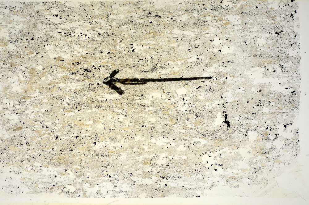 Plane Polarized, S85817