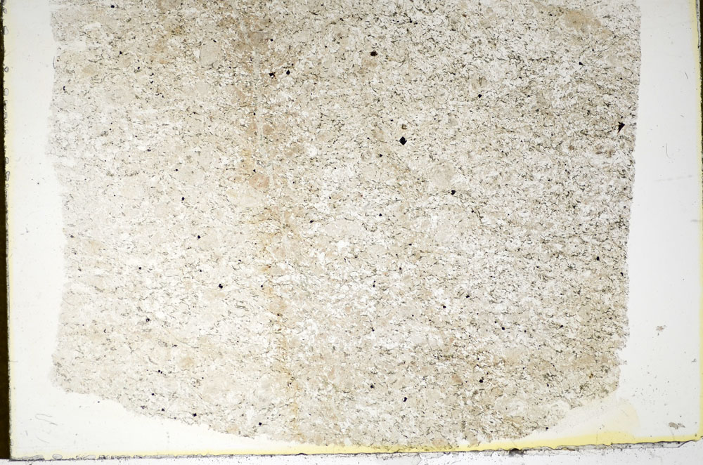 Plane Polarized, S85821