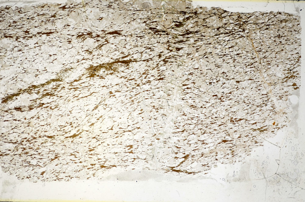 Plane Polarized, S85824