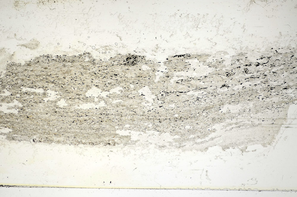 Plane Polarized, S85835