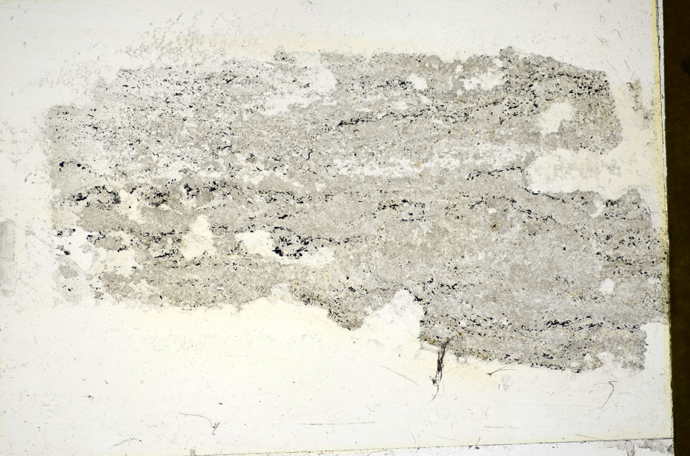 Plane Polarized, S85837