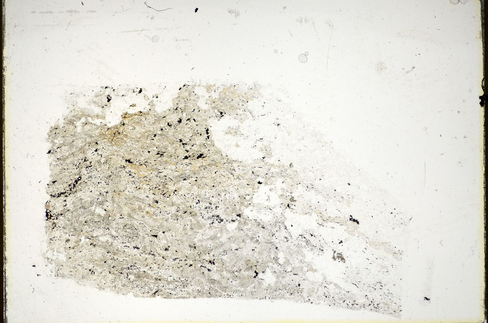 Plane Polarized, S85841