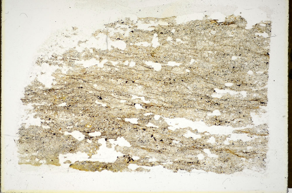 Plane Polarized, S85843