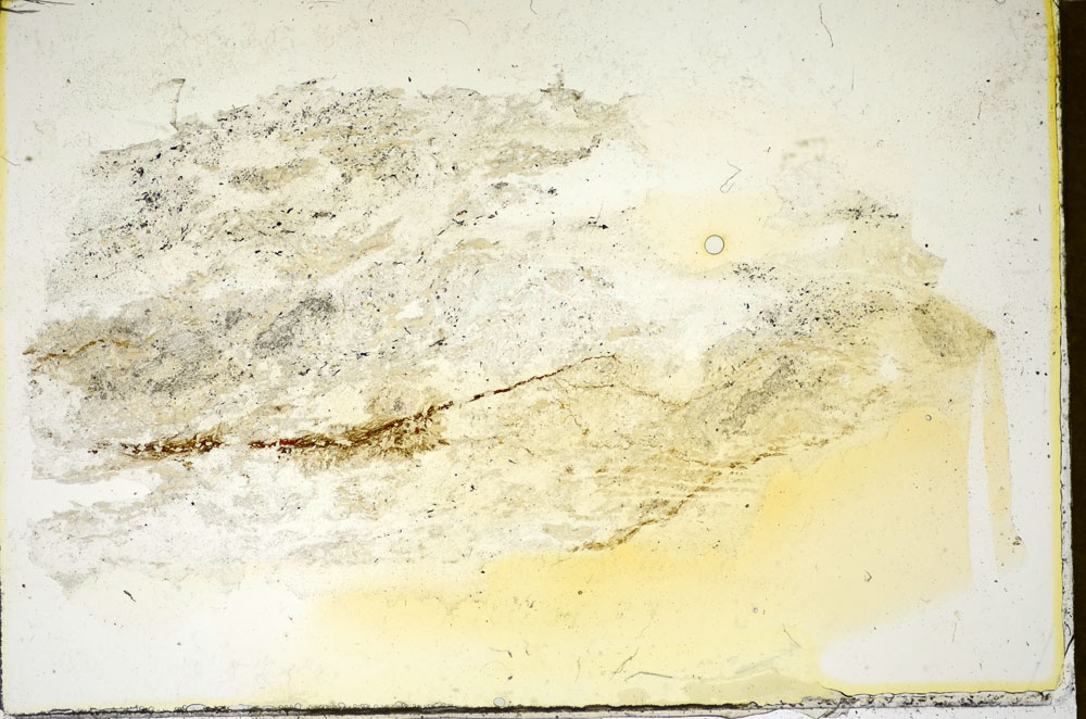 Plane Polarized, S85844