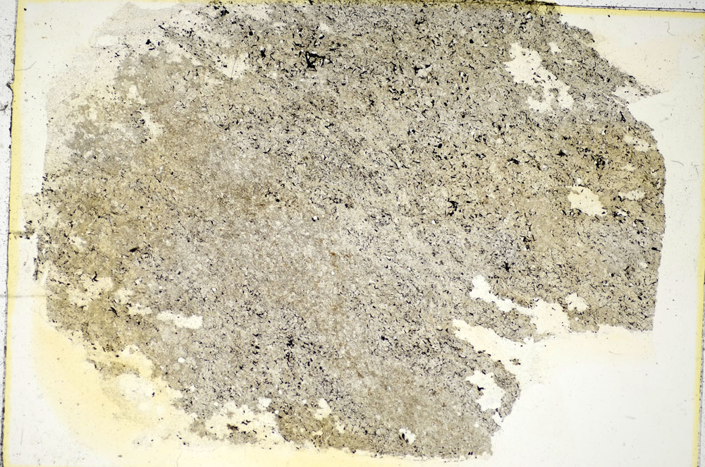Plane Polarized, S85847