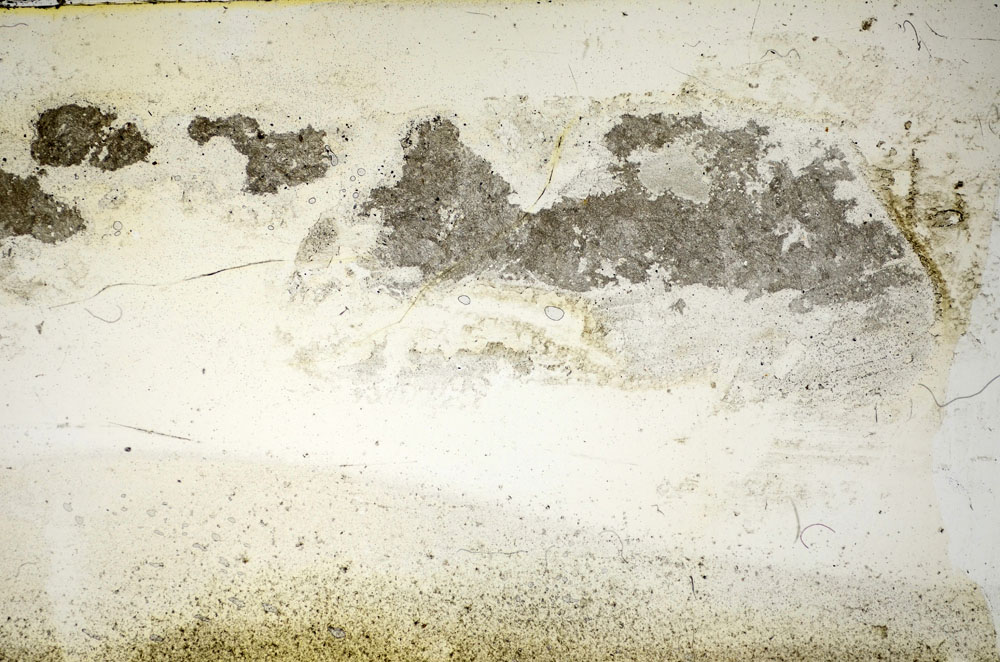 Plane Polarized, S85849