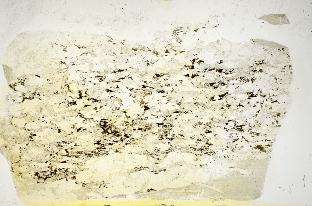 Plane Polarized, S85852
