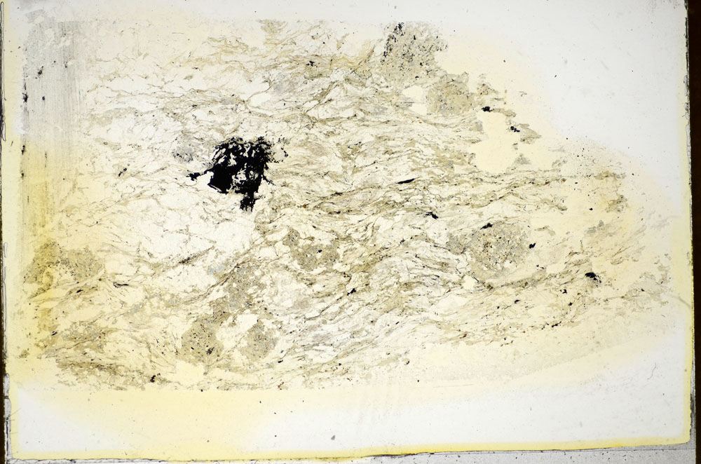 Plane Polarized, S85859