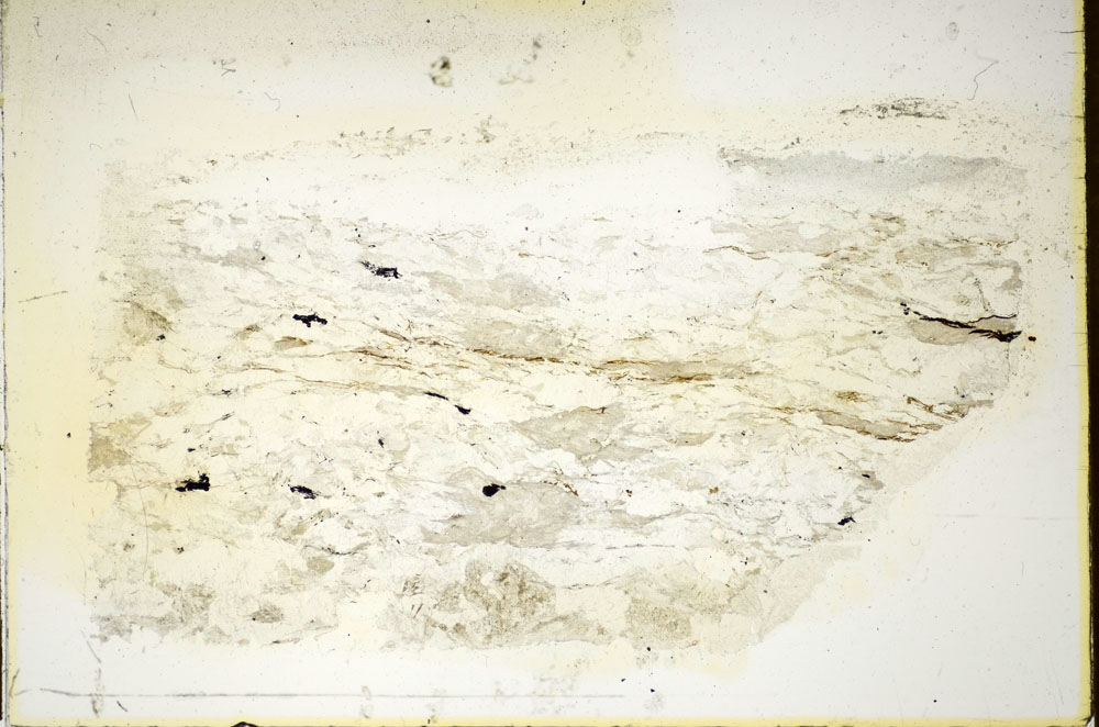 Plane Polarized, S85862