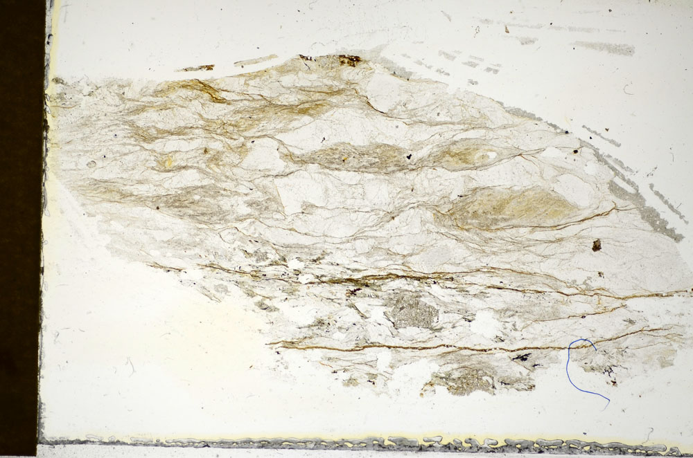 Plane Polarized, S85864