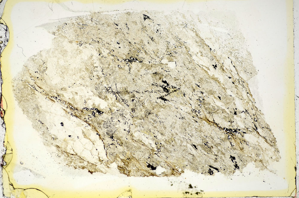Plane Polarized, S85869