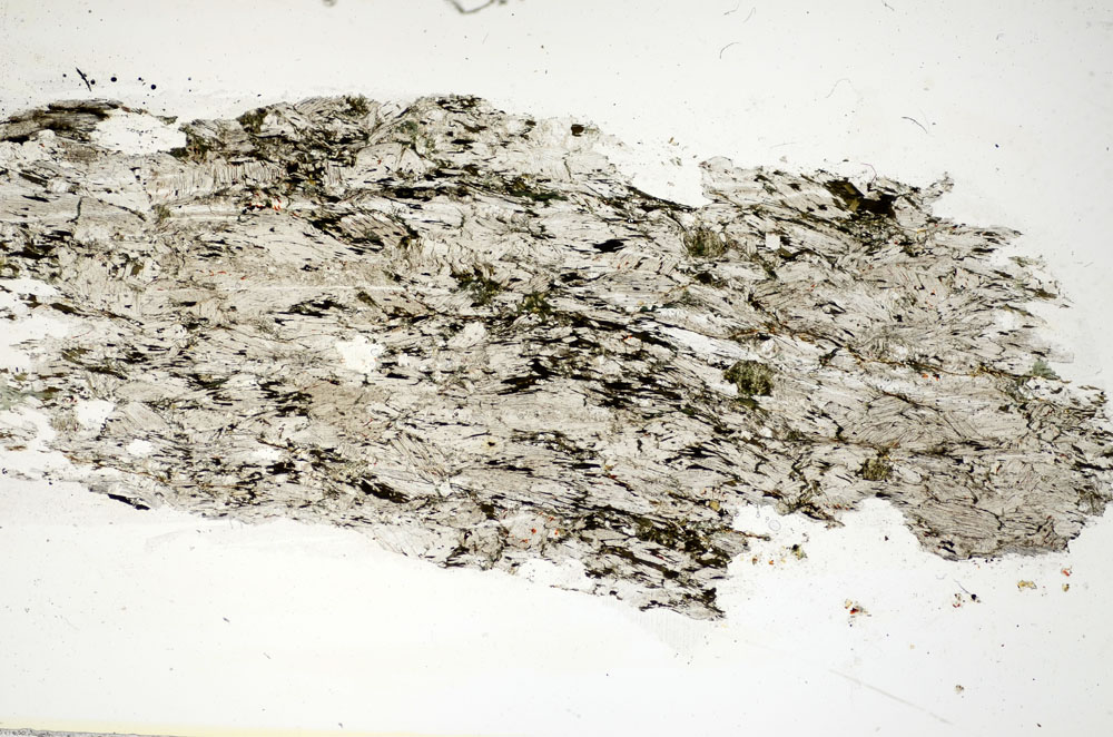 Plane Polarized, S85882