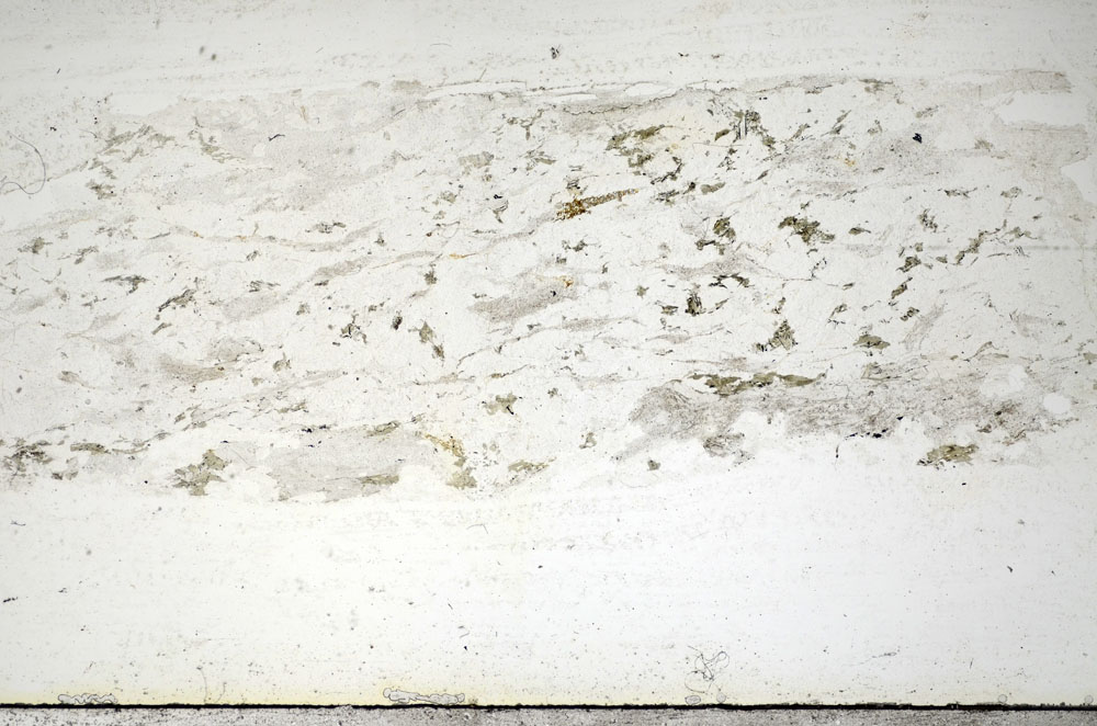 Plane Polarized, S85884