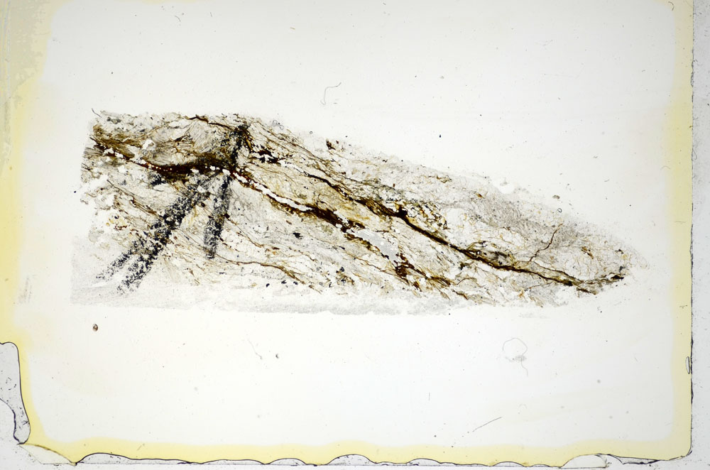 Plane Polarized, S85890