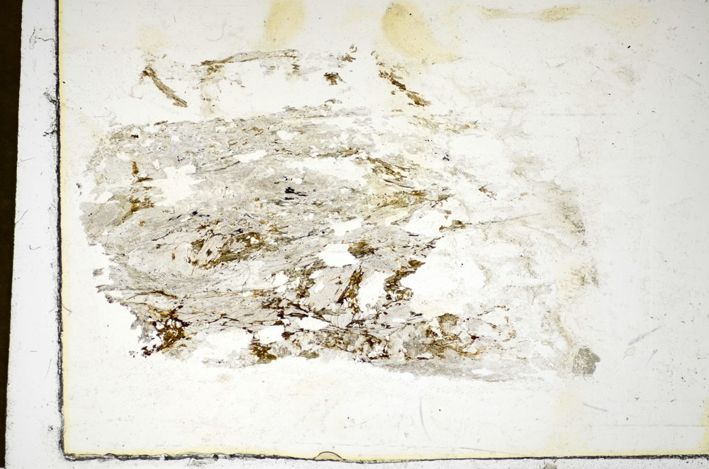 Plane Polarized, S85891