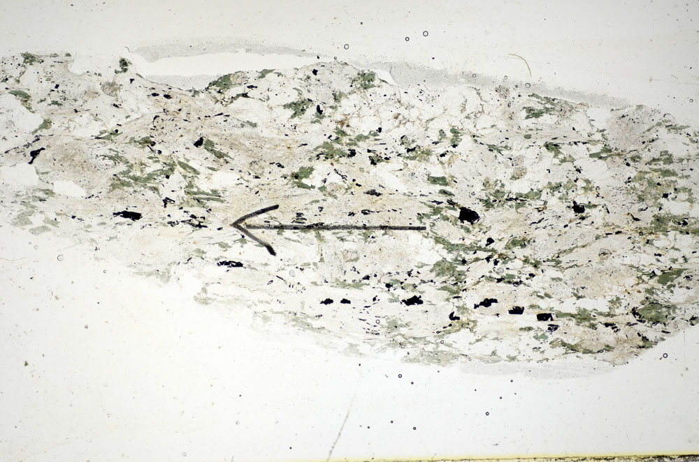 Plane Polarized, S85893