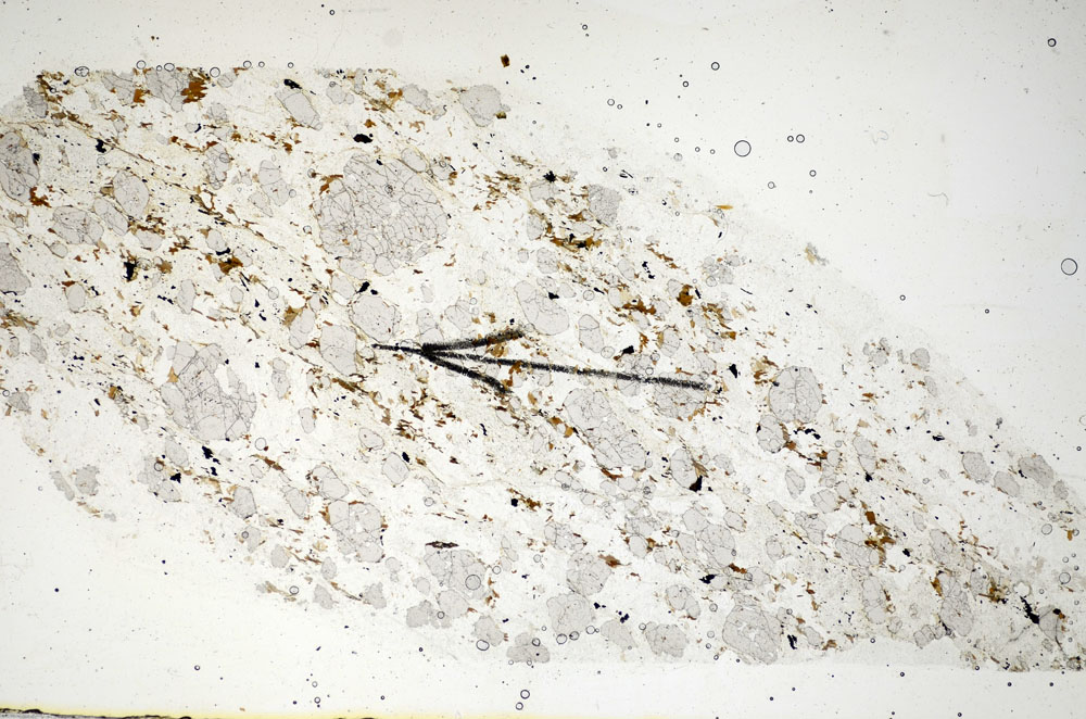 Plane Polarized, S85894