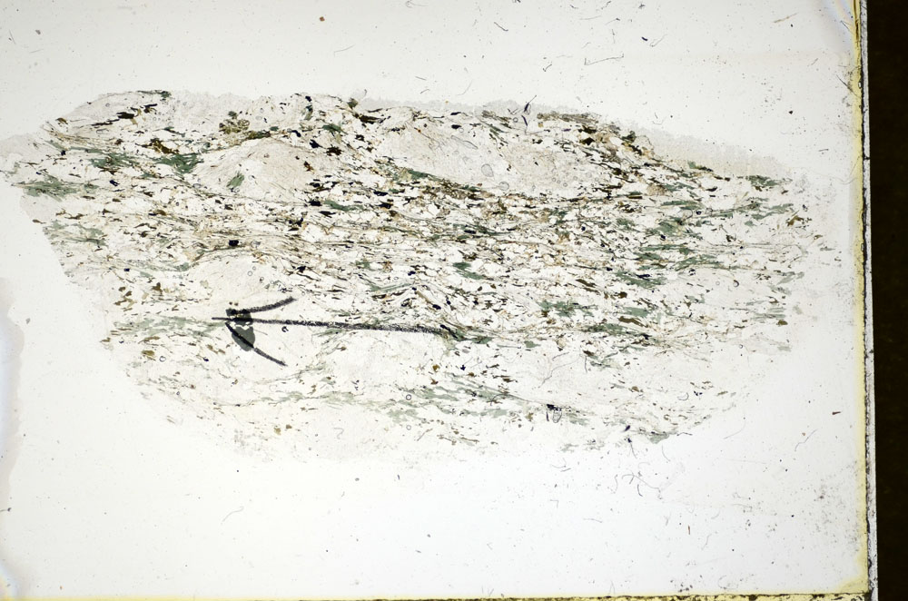 Plane Polarized, S85895
