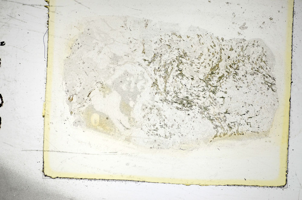 Plane Polarized, S85898