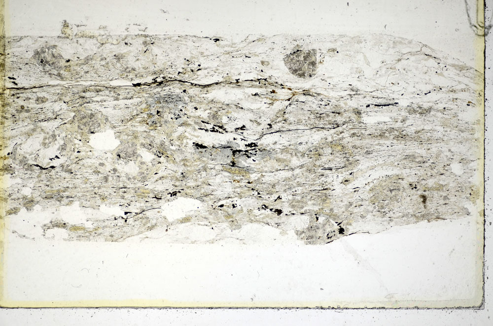 Plane Polarized, S85904