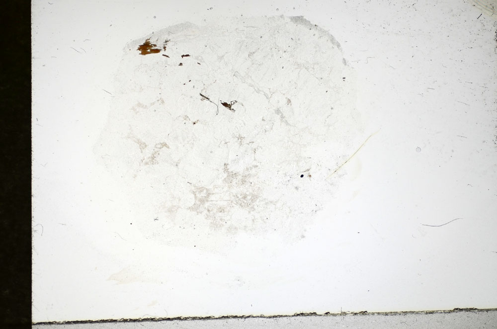 Plane Polarized, S85910