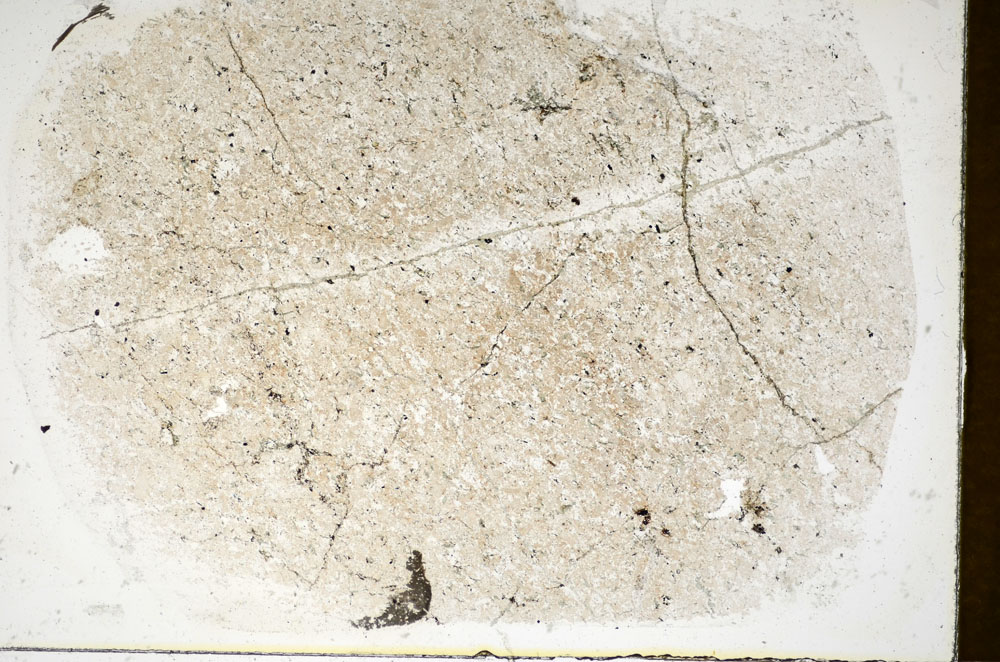 Plane Polarized, S85923
