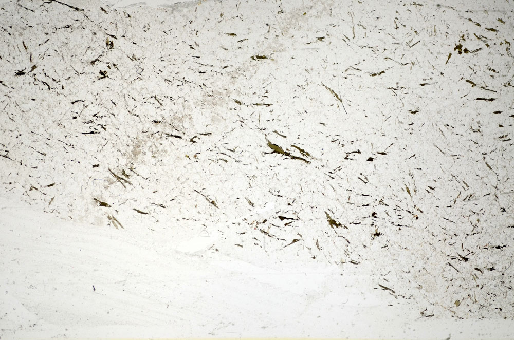 Plane Polarized, S85930