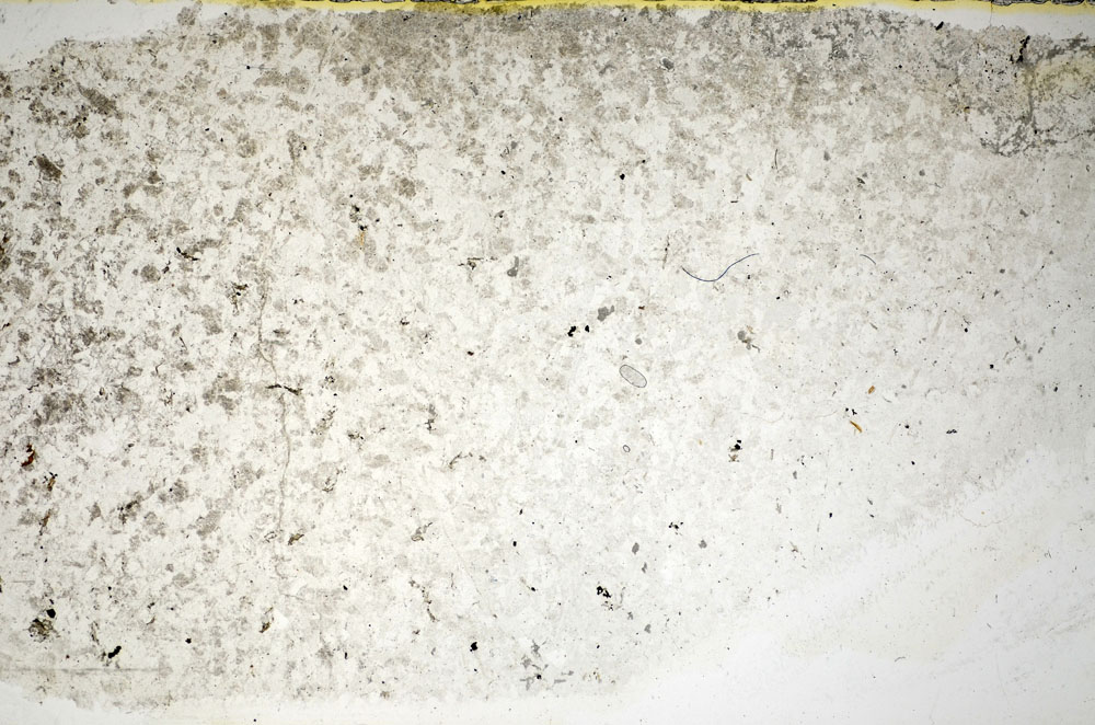Plane Polarized, S85933