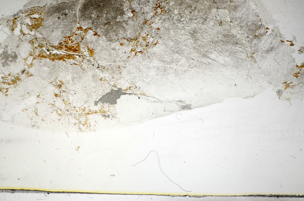 Plane Polarized, S85934