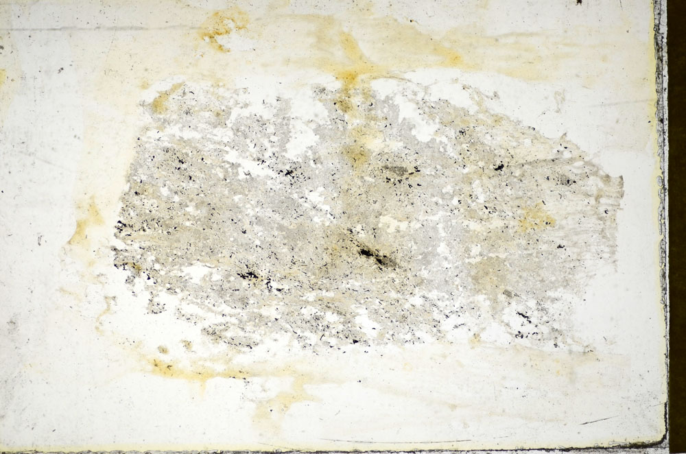 Plane Polarized, S85935