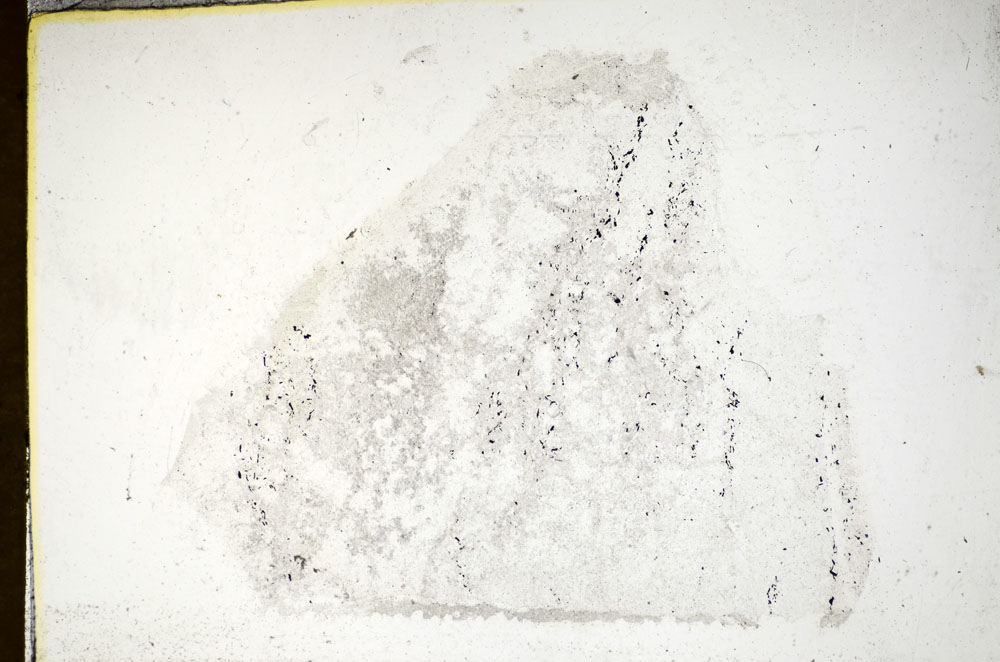Plane Polarized, S85936