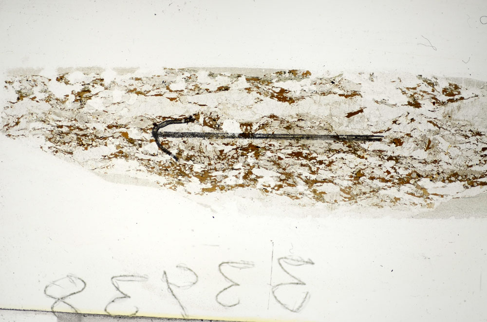 Plane Polarized, S85975