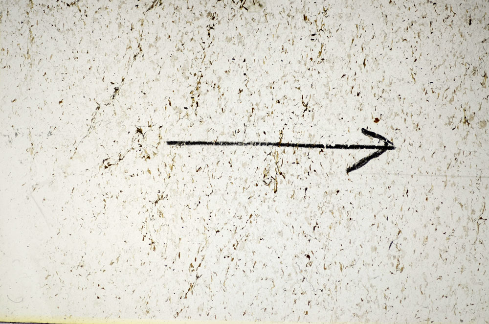Plane Polarized, S85977