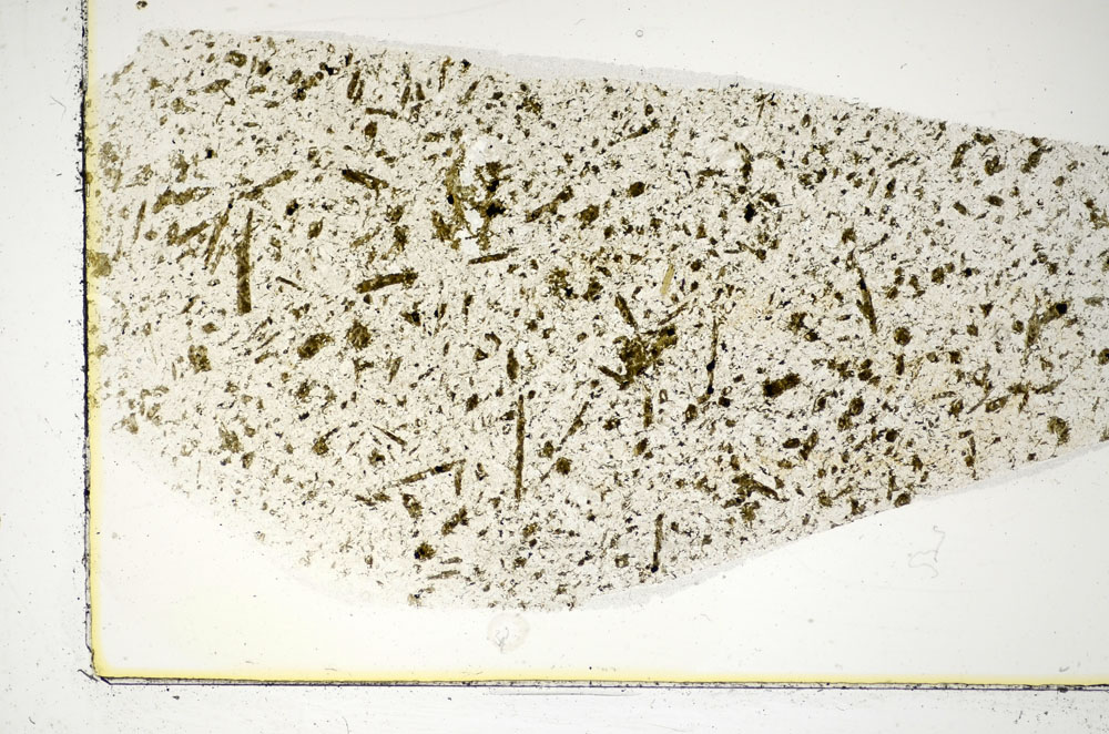 Plane Polarized, S85978