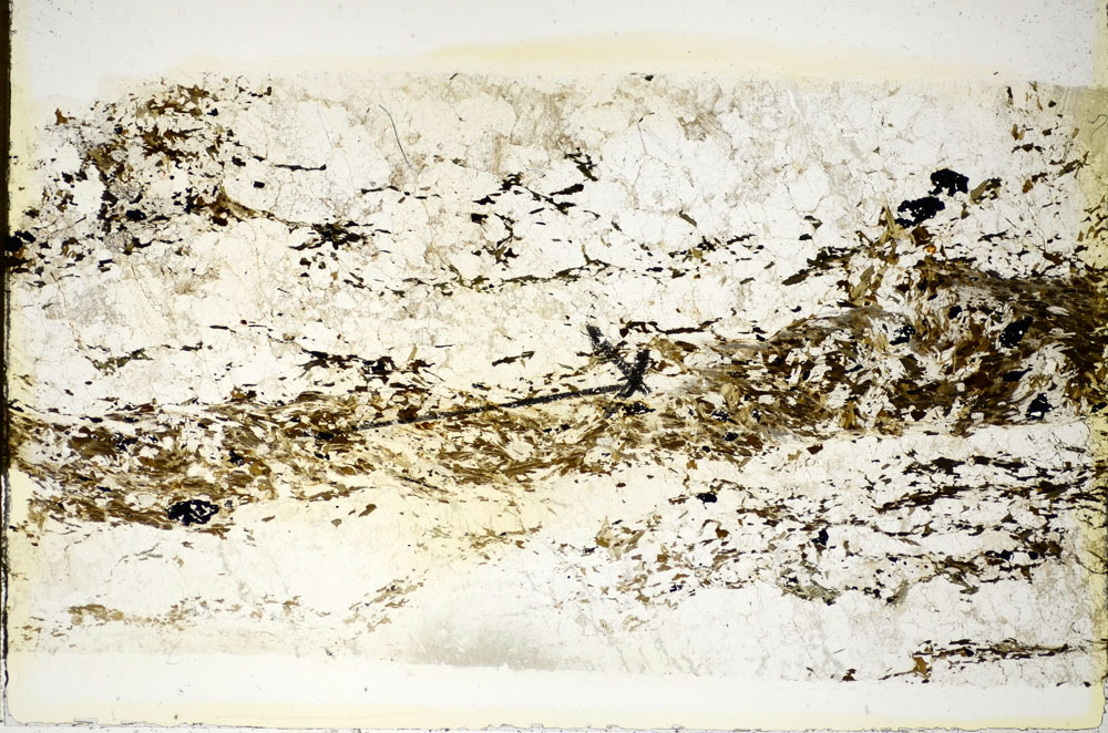 Plane Polarized, S85980